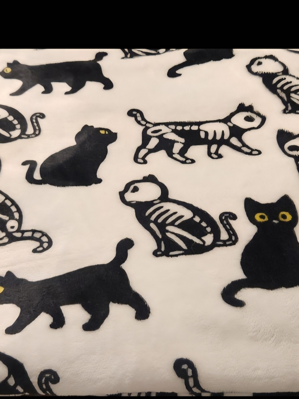 Black & White Cat Skeleton Plush Blanket